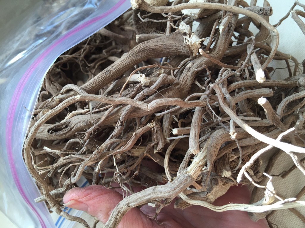 kava root